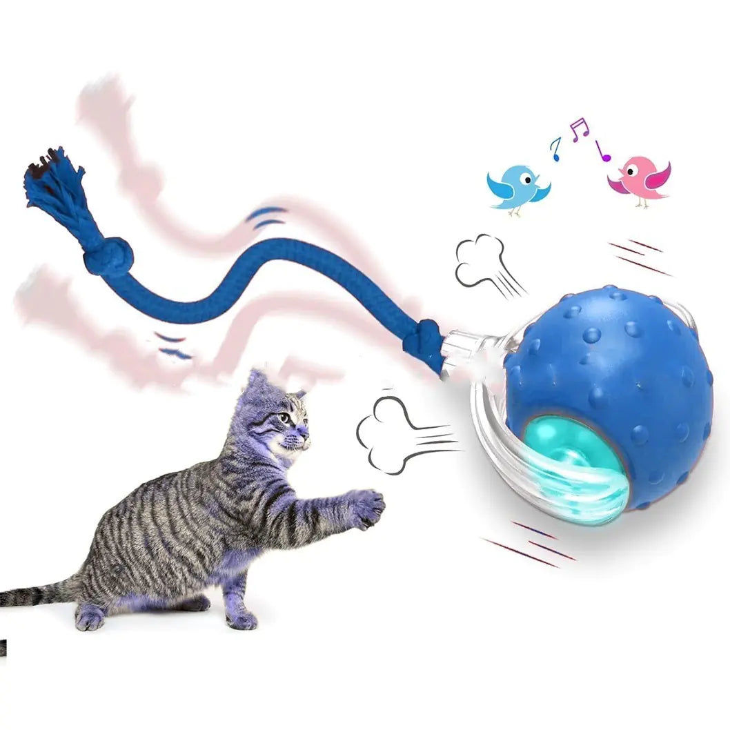 Smart Interactive Cat Ball Toy – Automatic Rolling & Chirping Sound Ball | 3 Play Modes & Auto-Shutoff Smart Toy for Bored Cats